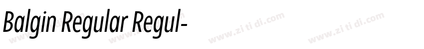 Balgin Regular Regul字体转换